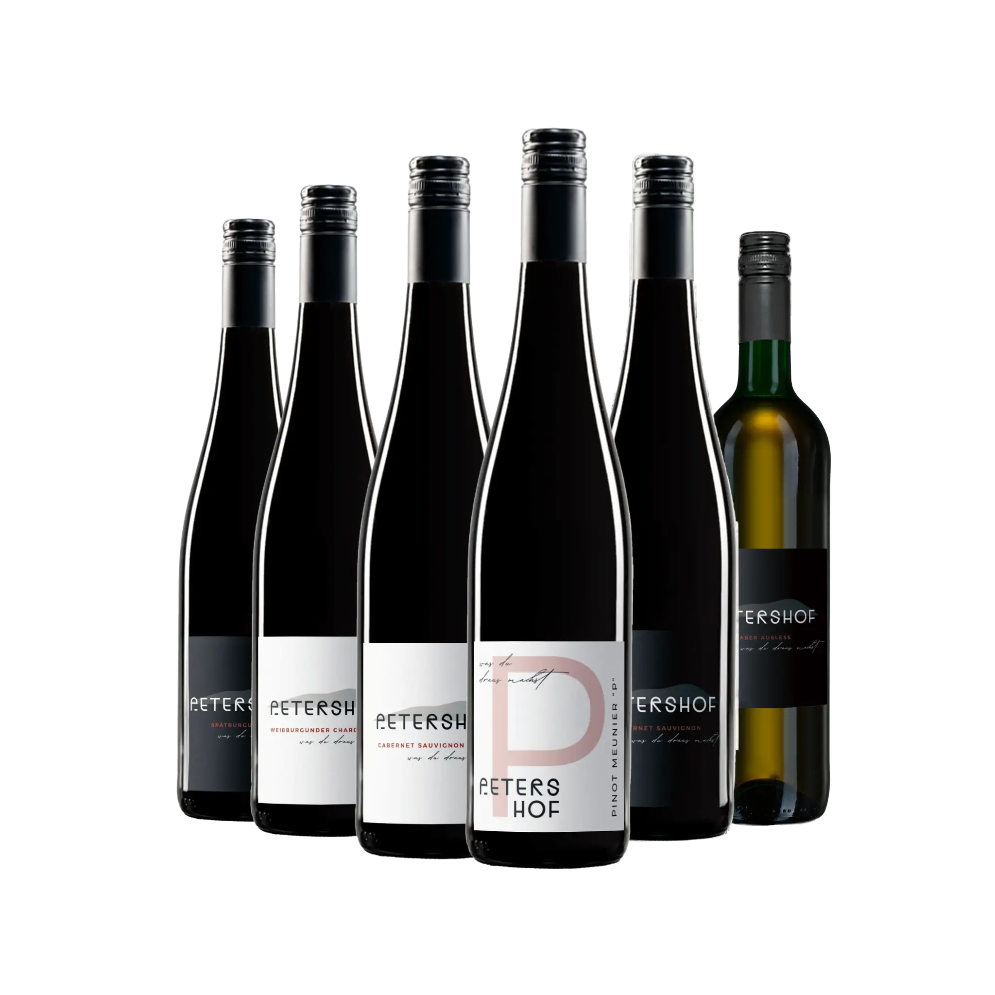 6er Probierpaket "Unsere Besten"