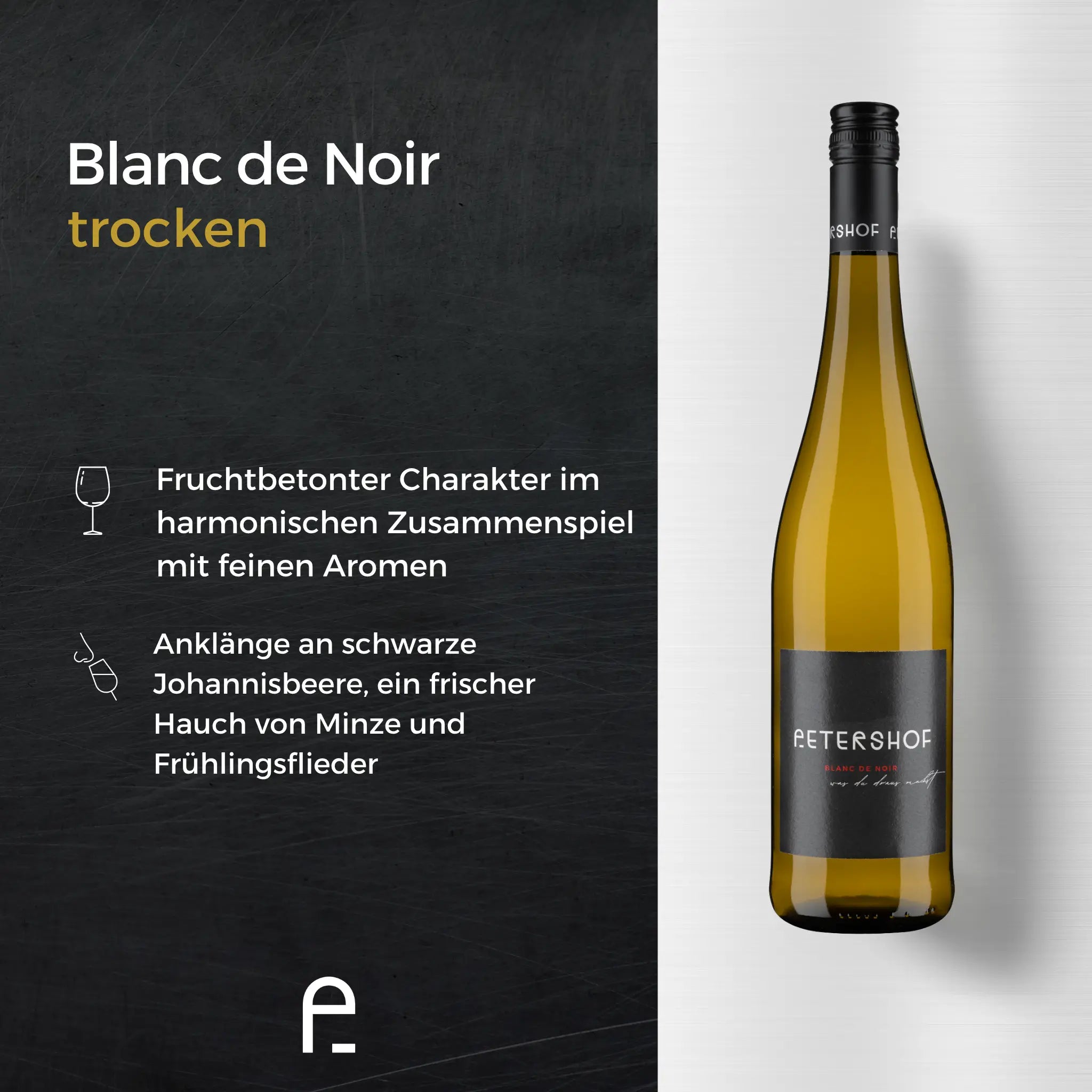 6er Probierpaket "Unsere Besten"