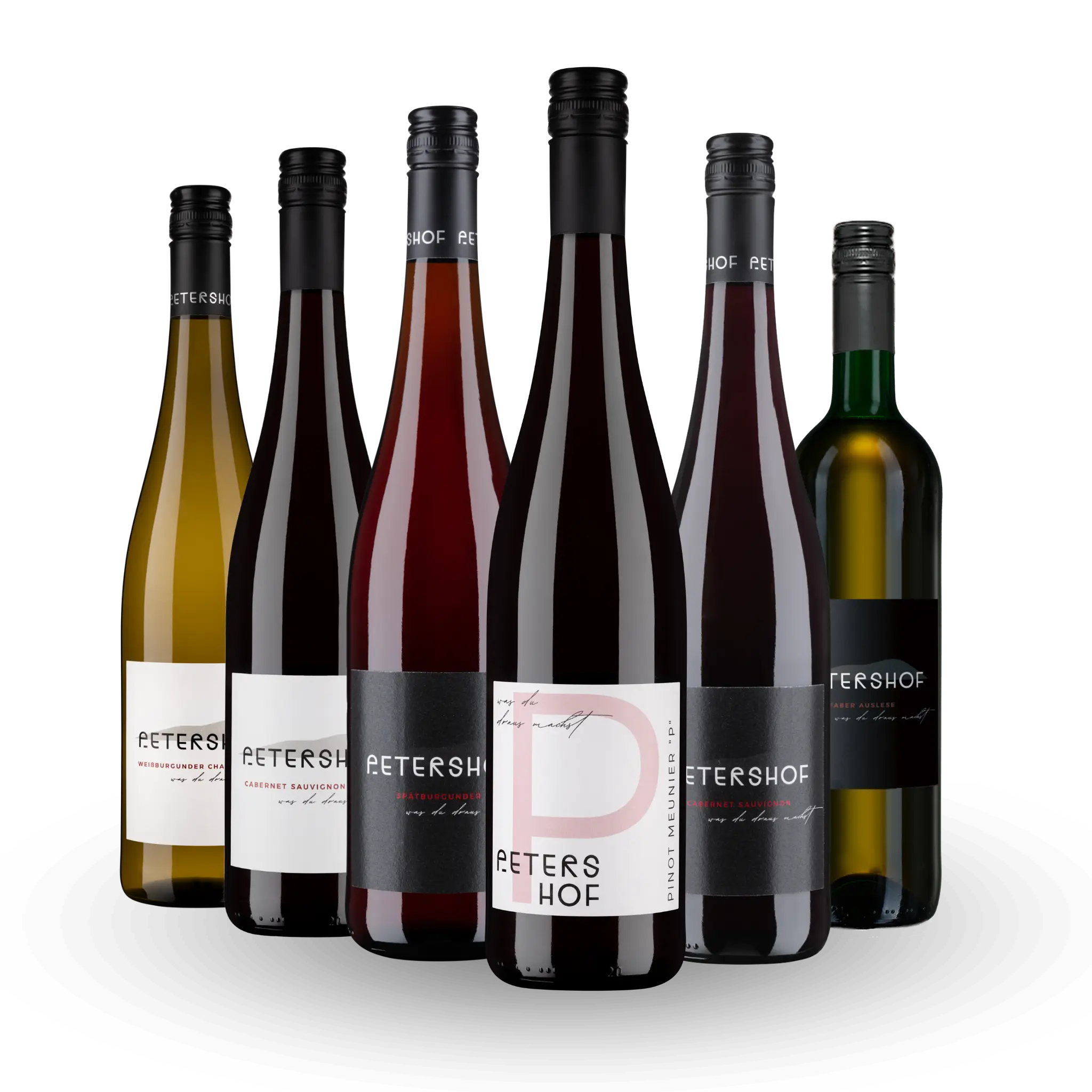6er Probierpaket "Unsere Besten"