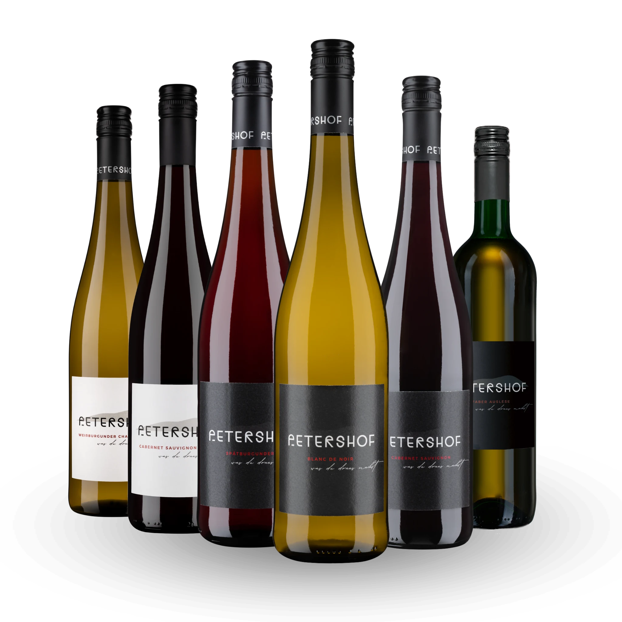 6er Probierpaket "Unsere Besten"