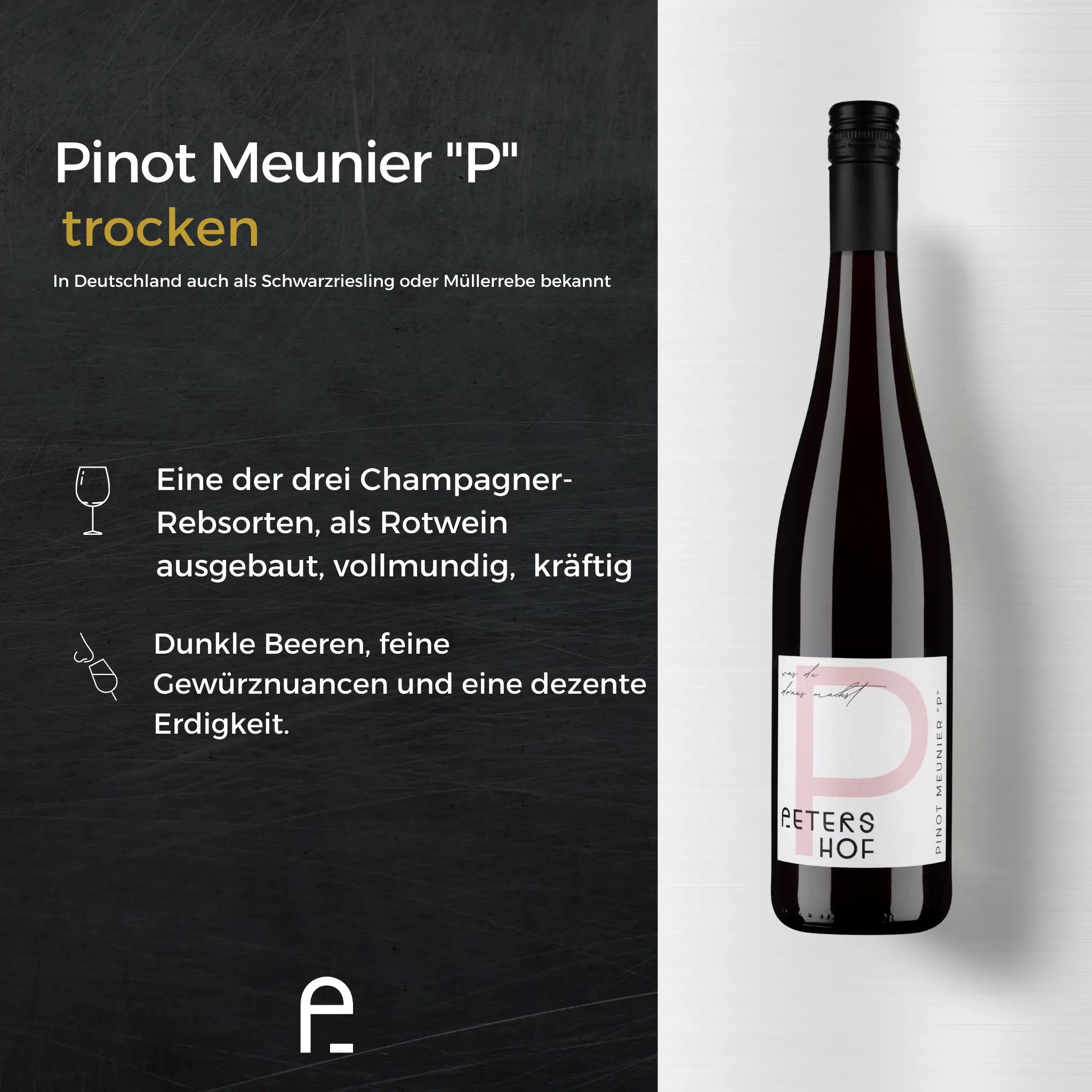 6er Probierpaket "Unsere Besten"